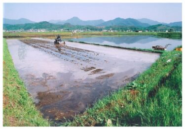 塩田のため池